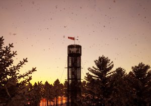 07